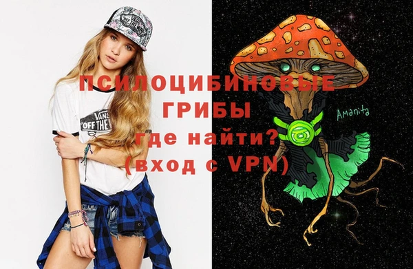 mix Бородино